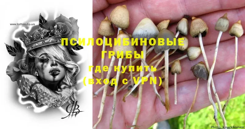 MEGA tor  купить   Омск  Галлюциногенные грибы Magic Shrooms 