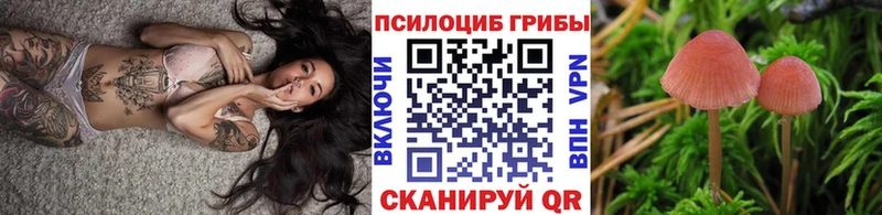 Псилоцибиновые грибы мицелий  Омск 