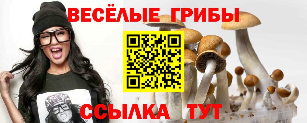 Галлюциногенные грибы MAGIC MUSHROOMS  Галлюциногенные грибы Psilocybine cubensis  Омск  Вход с VPN 