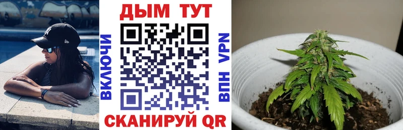 mega зеркало  магазин    Омск  Каннабис ГИДРОПОН 